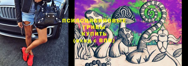 винт Пересвет