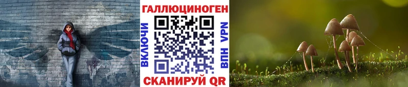 Псилоцибиновые грибы GOLDEN TEACHER  Куртамыш 