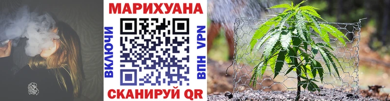 МАРИХУАНА OG Kush  наркотики  OMG ССЫЛКА  Куртамыш 